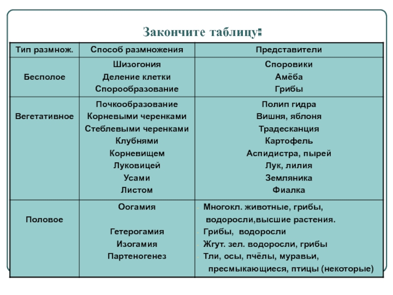 Kraken даркнет переходник