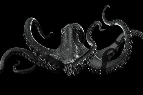 Kraken 16 onion