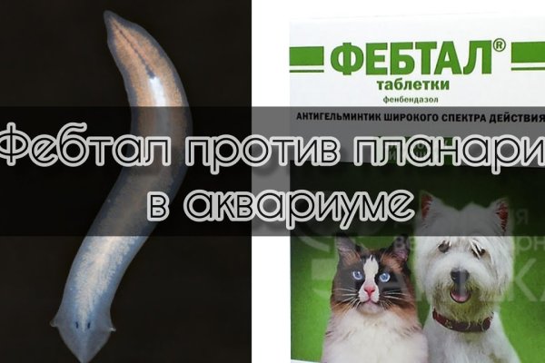 Как закинуть деньги на кракен