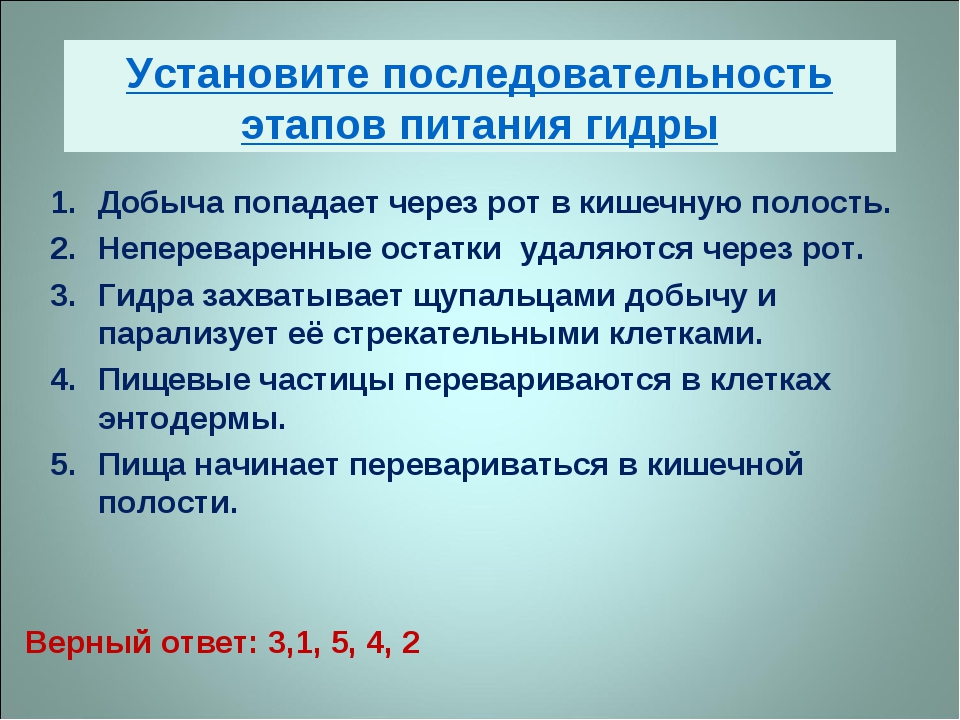 Кракен 17 at вход